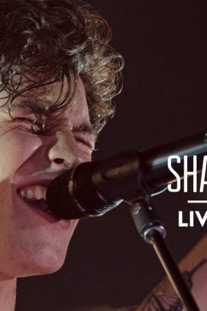 Shawn Mendes: Trực Tiếp Tại Buổi Hòa Nhạc